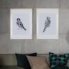 قاب عکس 50*40 ایکیا مدل ikea HOVSTA 203.657.44 - Image 2