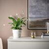جاشمعی ایکیا مدل Ikea PARLBAND 503.485.45 - Image 4
